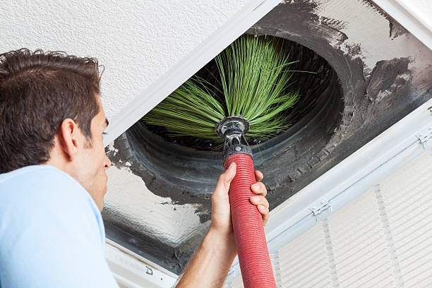 Best Duct Cleaning Specialists  in Arlington, NE